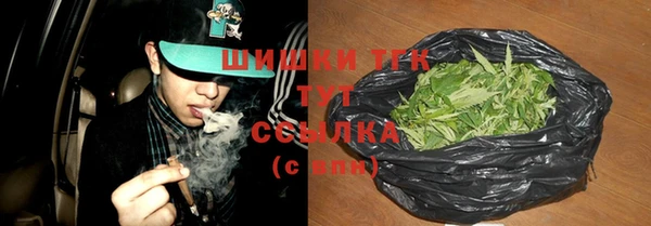сатива Белокуриха
