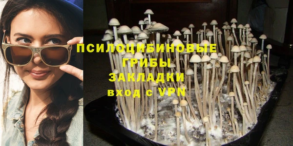 дмт Беломорск