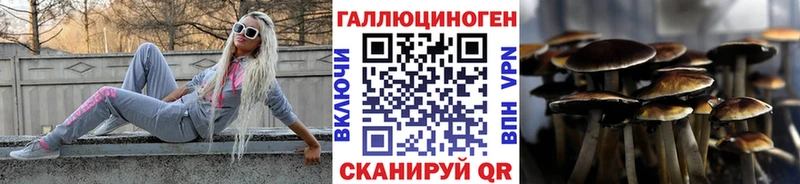 Купить где  Багратионовск  Псилоцибиновые грибы ЛСД 
